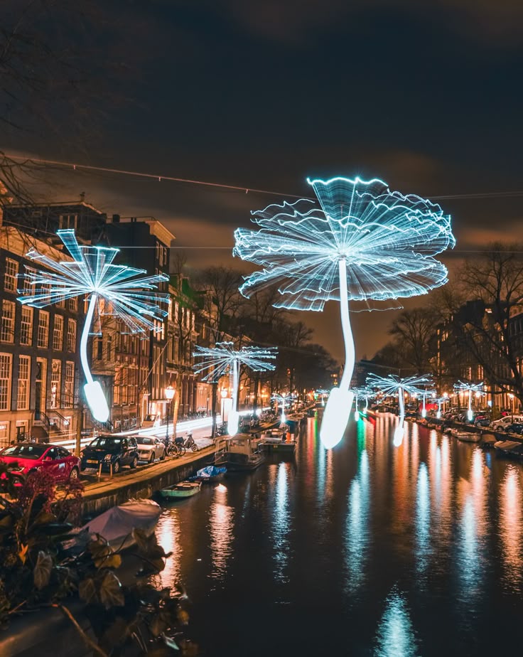 light festival