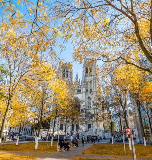 Brussels City in Autumn