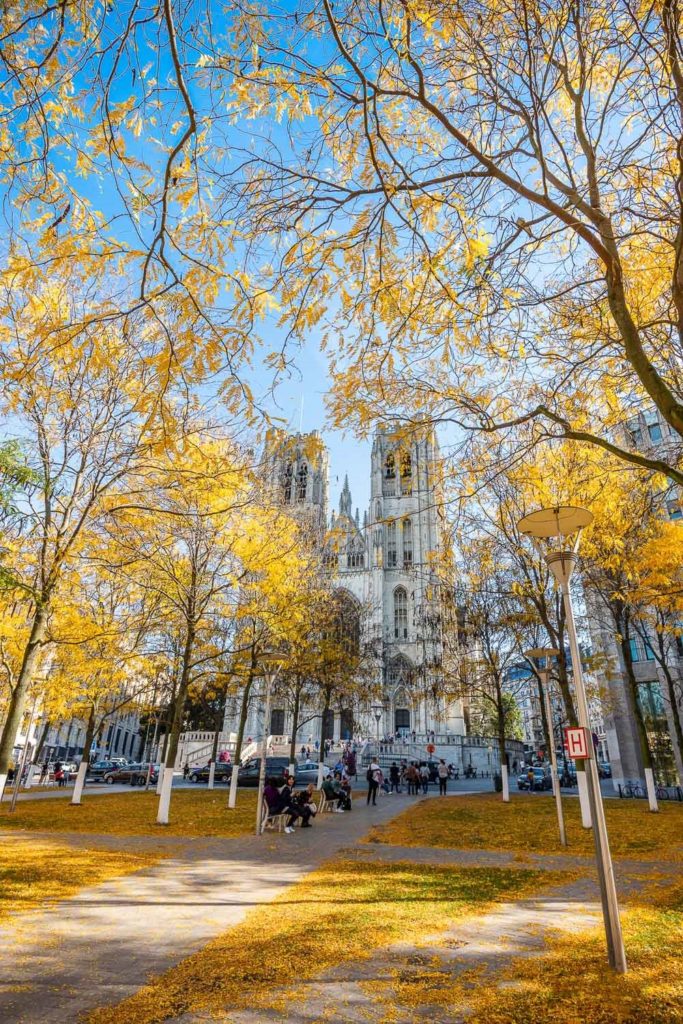 Brussels City in Autumn