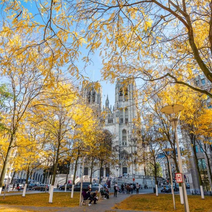Brussels City in Autumn