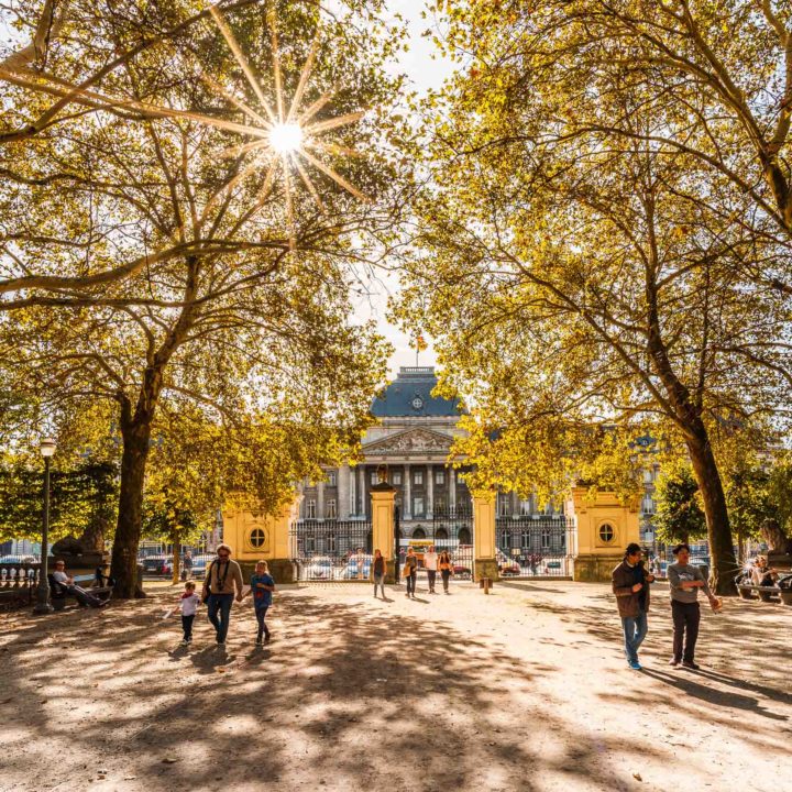 Brussels City Autumn