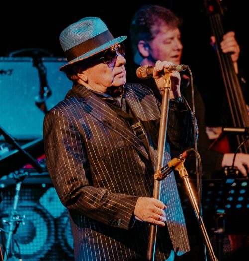 Van morrison Jazz Festival