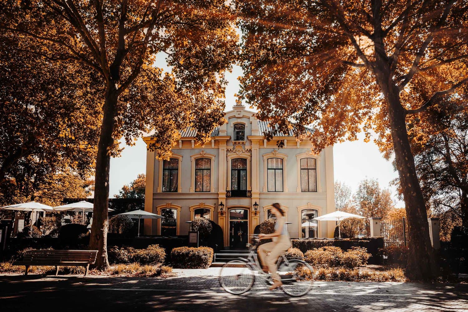 Offers Pillows Hotels Zwolle